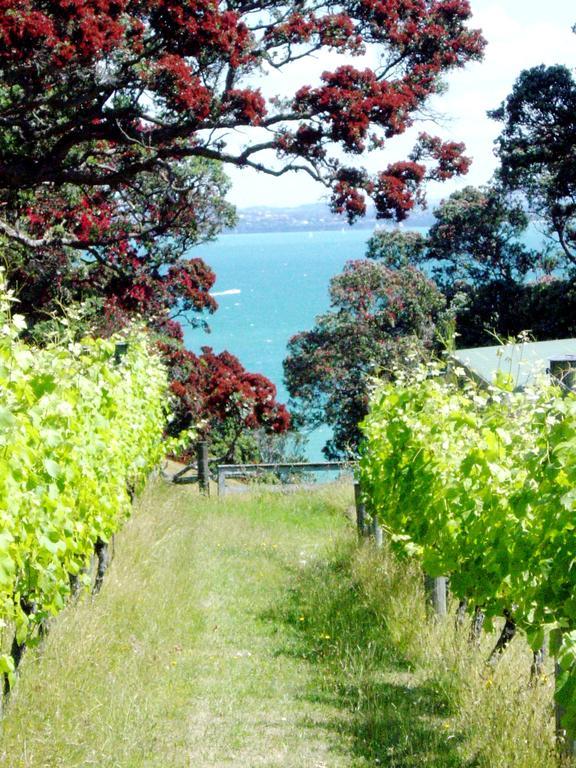 Waiheke Island Vineyard Holiday Houses Surfdale Dış mekan fotoğraf